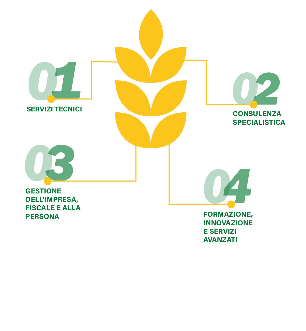 confagricolturacampania_servizi