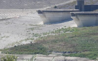 SICCITÀ, ALLARME DI CONFAGRICOLTURA. DALLA DIGA UN MLN DI METRI CUBI D’ACQUA IN MENO