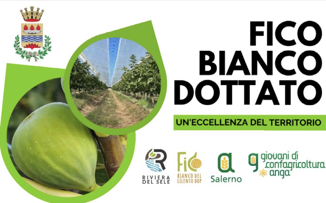 Il 23 settembre a Eboli evento dedicato al Fico Bianco Dottato