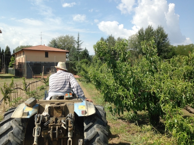 Banca Unicredit: avviso alle imprese agricole con sede in Italia a seguito delle avversità che si sono verificate nel 2023