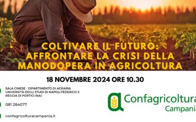 Carenza di manodopera in agricoltura, lunedì 18 novembre alla Federico II di Portici convegno organizzato da Confagricoltura Campania